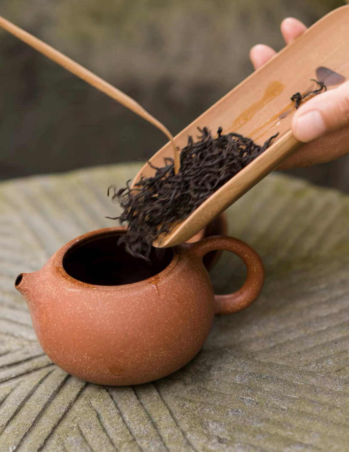 武夷亨【石乳】武夷岩茶石乳250克500克