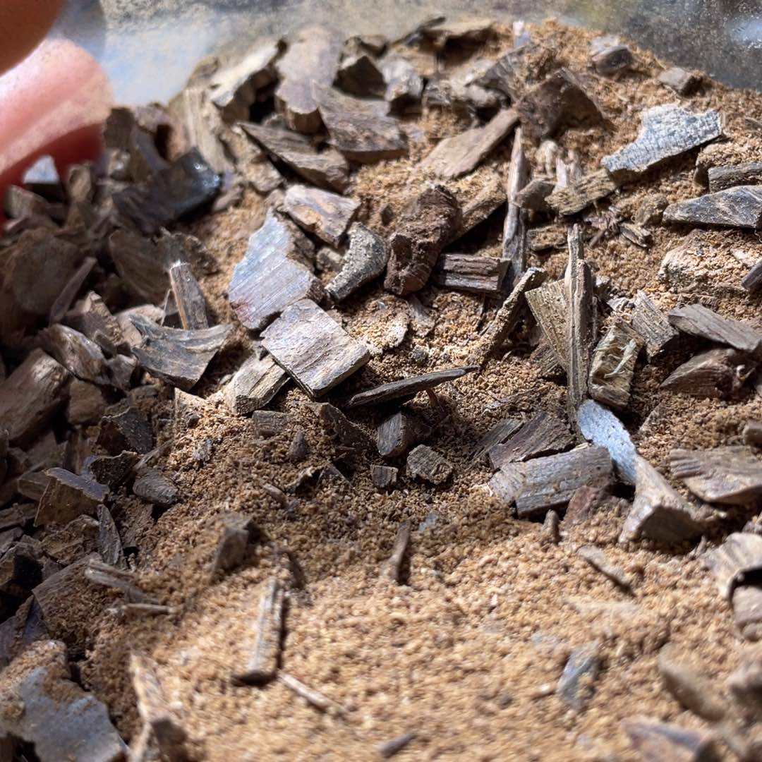 沉香碎屑沉香顺化黑棋粉10克窖藏20年