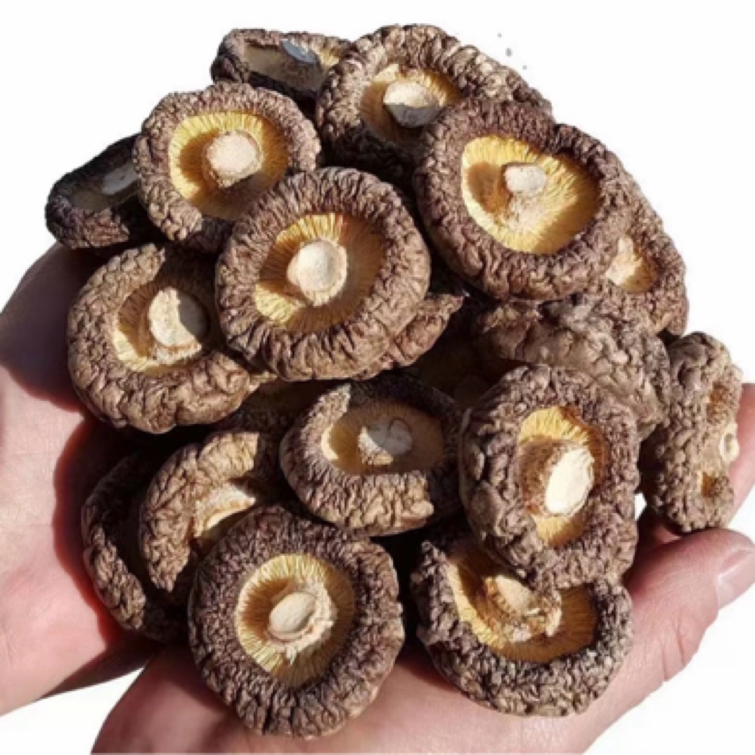 【小香菇】.高泡发农家小香菇肉厚鲜美煲汤美味