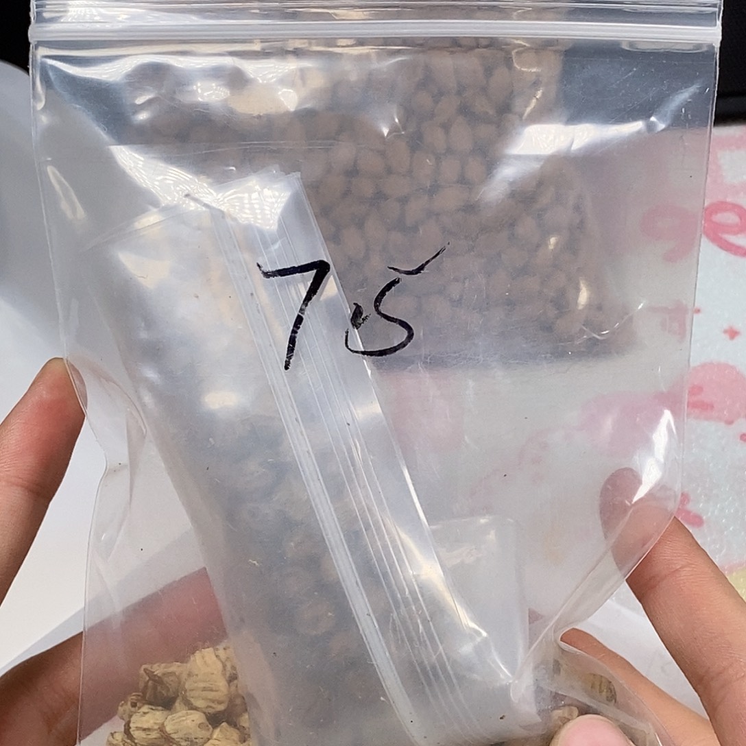༺***༻柏香籽/百香籽吊坠