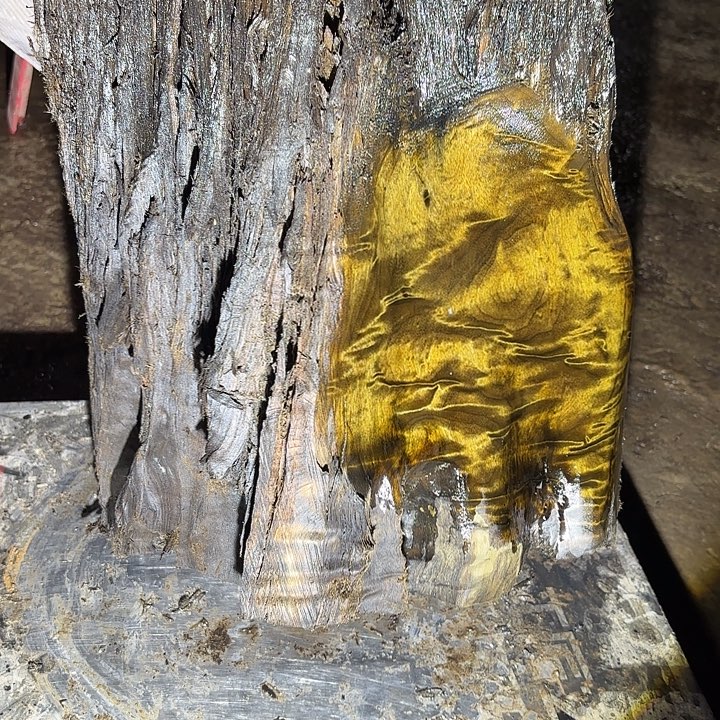 @***禅金丝楠金丝楠阴沉木