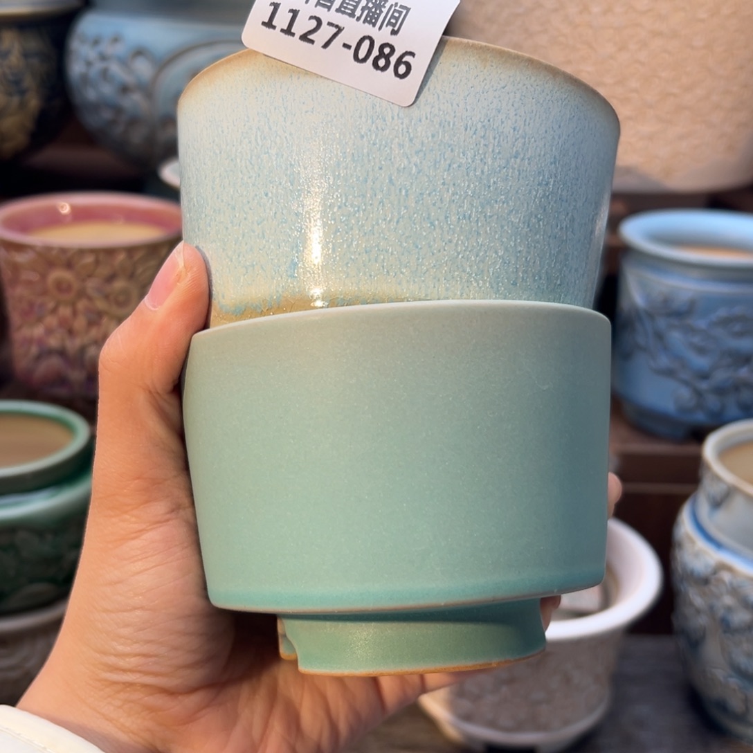 J***e1127-086 内口8.5 B组拍两只