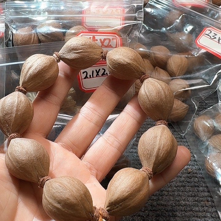 吊坠橄榄核2.4❌3.1