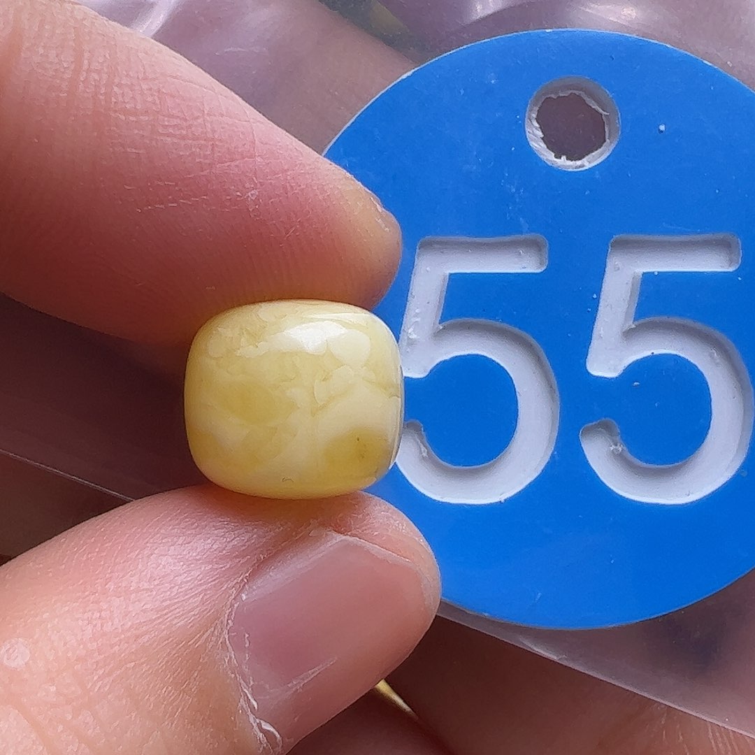 蜜蜡未镶嵌珠宝奇石10.8mm花粉