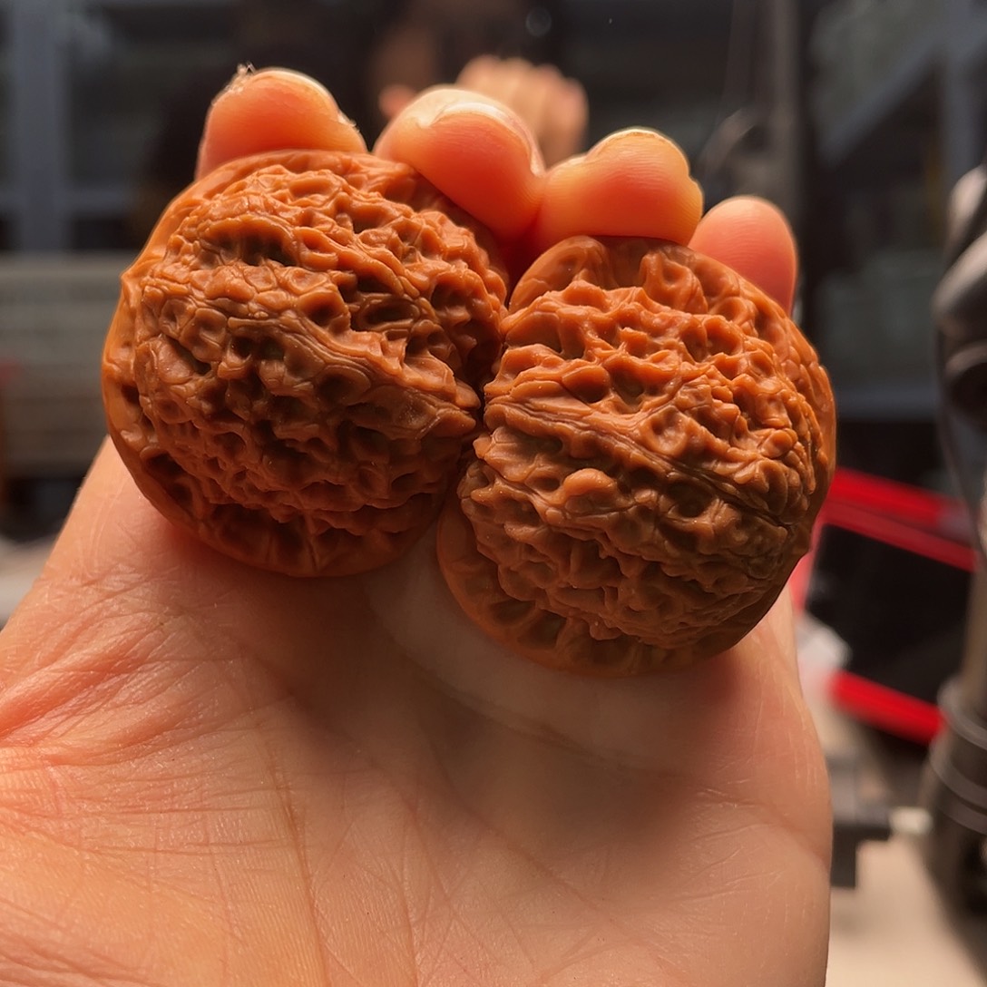 血麒麟38.8根手指都