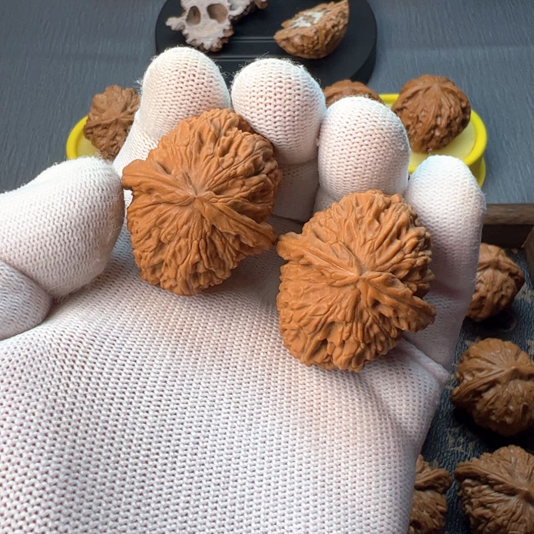 核桃摆件36/40白狮子全品