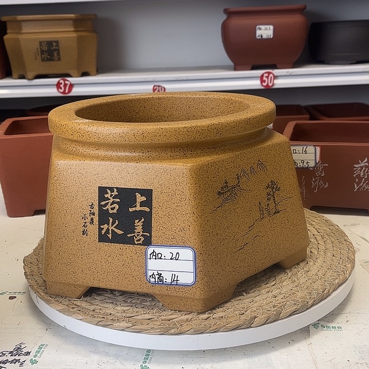 紫砂花盆紫砂艺术