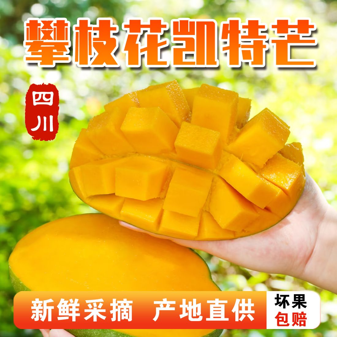 D【坏果包赔】攀枝花凯特大芒果爆甜好吃新鲜现摘现发