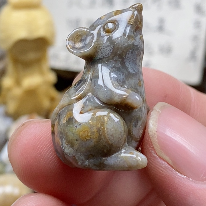 颈饰未镶嵌硅化珊瑚（珊瑚玉）