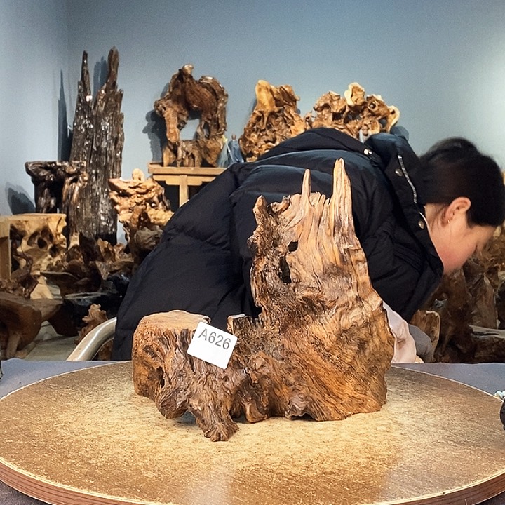 茶盏踏****站626株木的随行的根艺