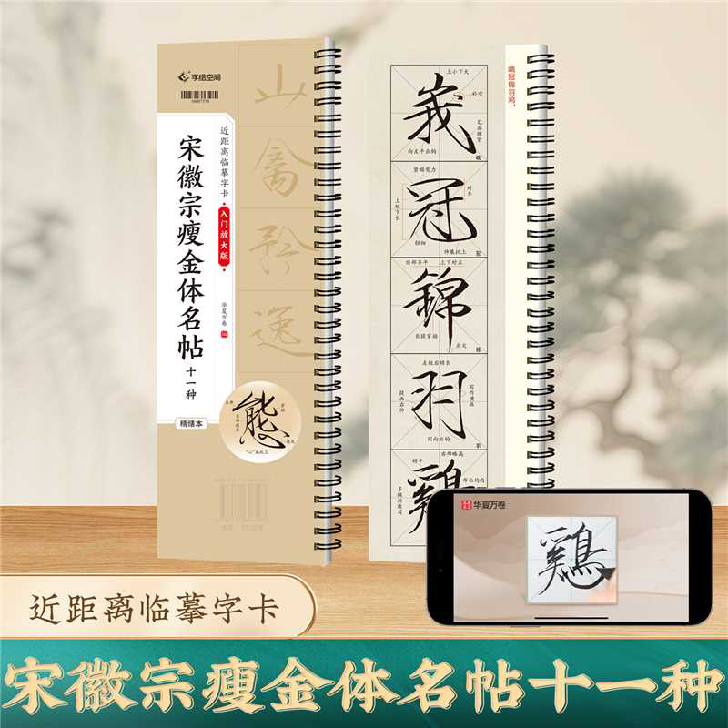 宋徽宗瘦金体 初学入门教学视频版字卡 