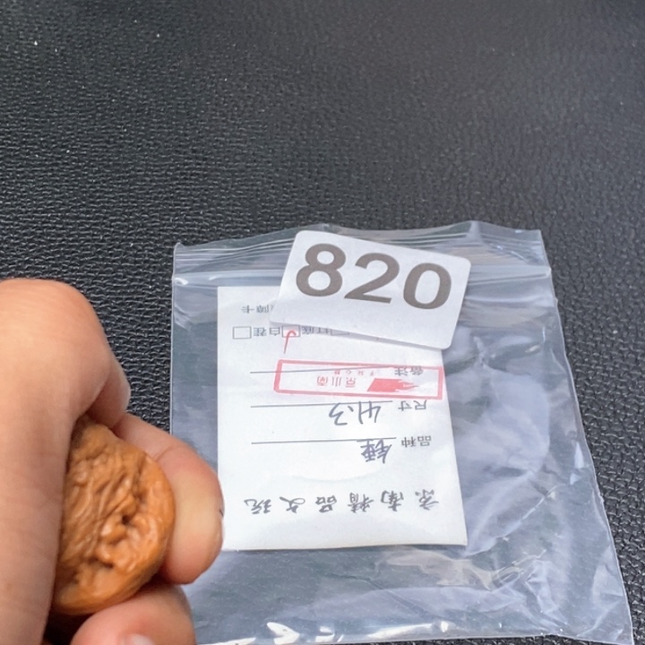 文玩核桃吊坠文玩核桃一物一图