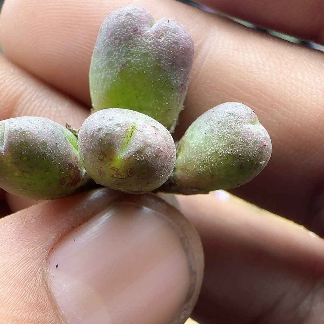 大年初三快乐23228