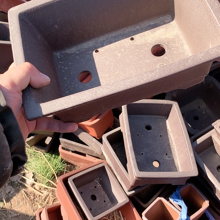 紫砂你就知道这就是为什么