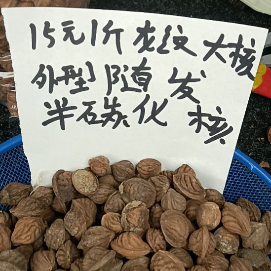 吊坠桃核野生山桃核龙纹大核15元一斤随机发