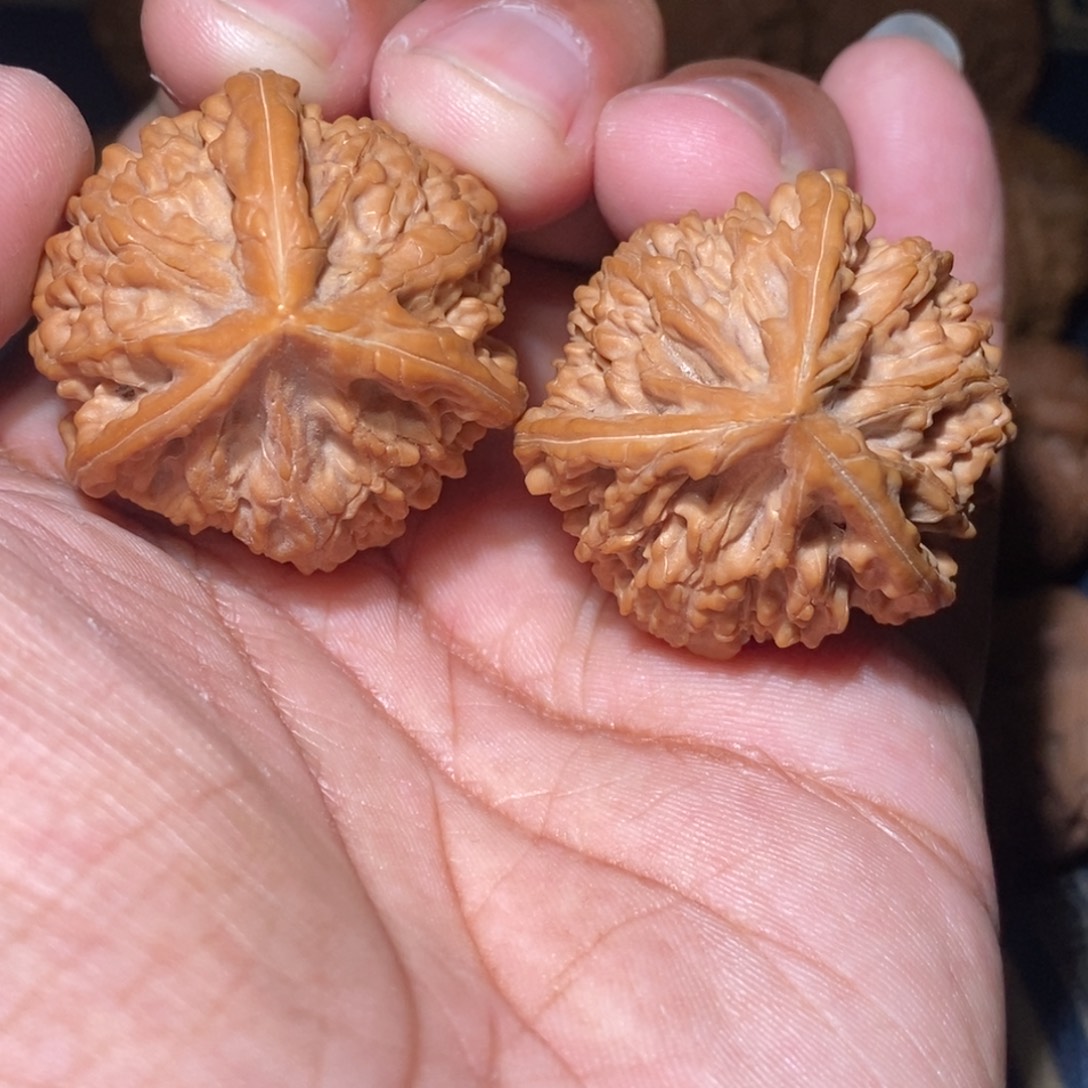 樱***子文玩核桃吊坠36尺寸御龙粗筋