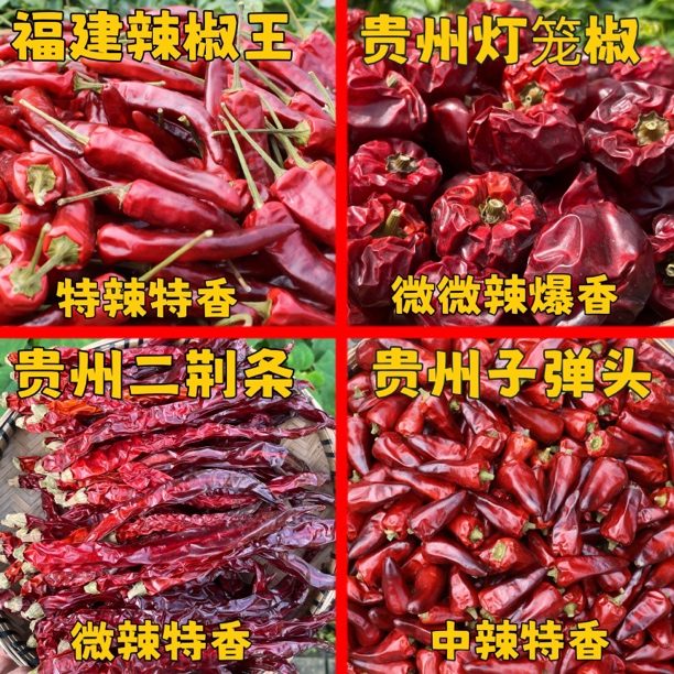贵州子弹头 贵州灯笼椒 贵州二荆条 福建辣椒王 火锅干锅炝炒红油