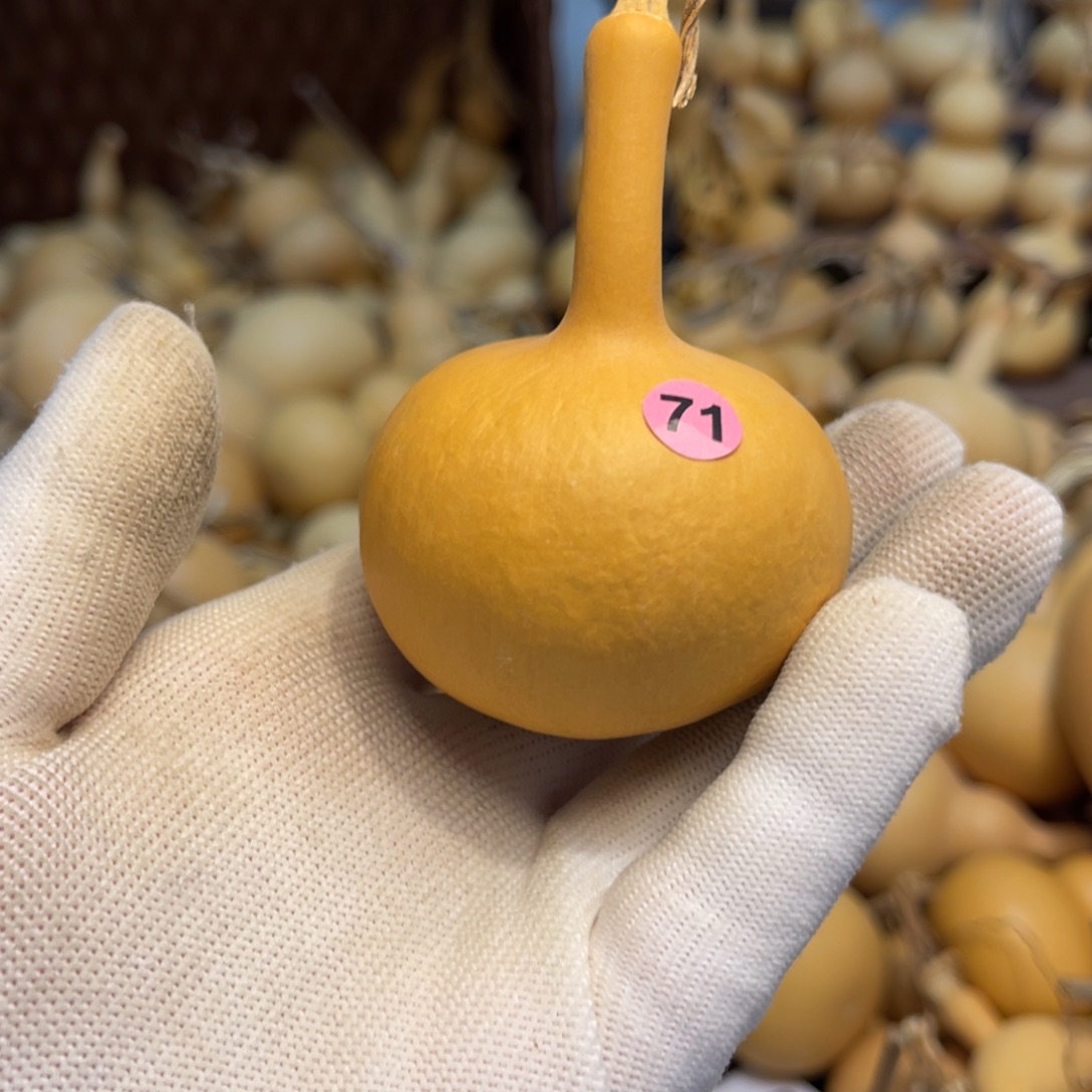 闪拍葫芦链接-71号品