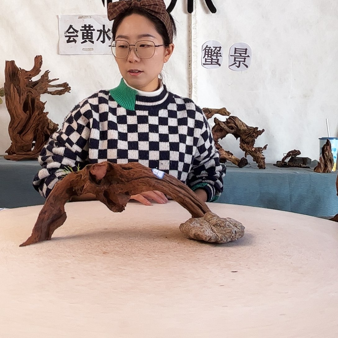 周末福利沉木造景寄居蟹造景