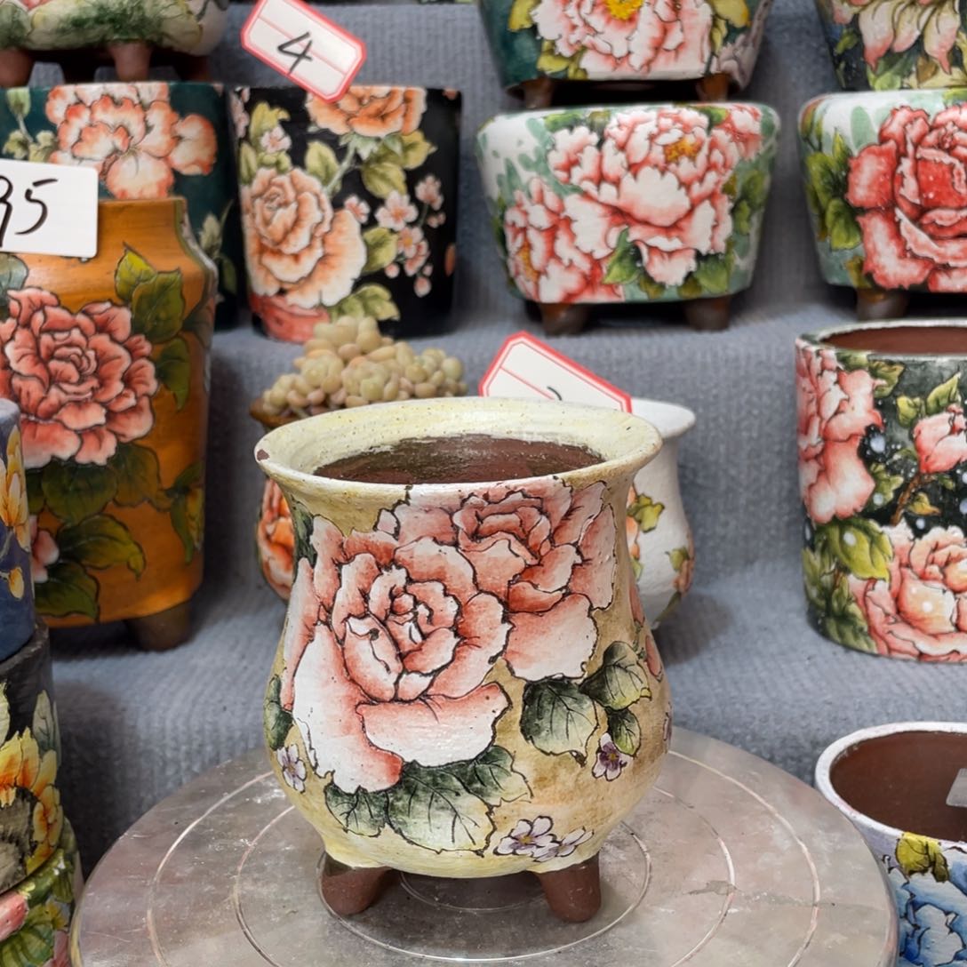 红陶云漫福利88888888