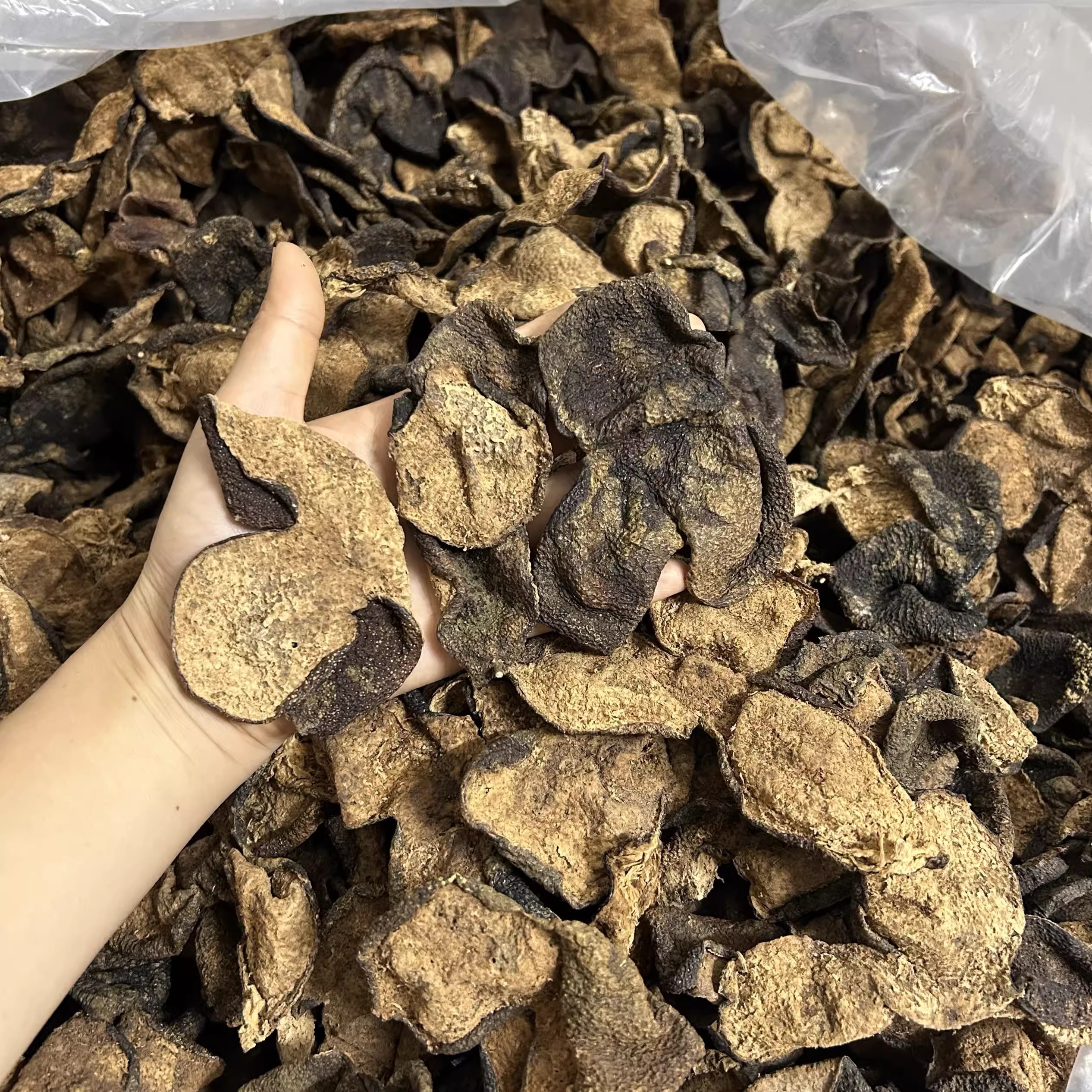 【精选狗腩冬皇】2018年新会天马陈皮冬后狗腩大红皮源头批发零售