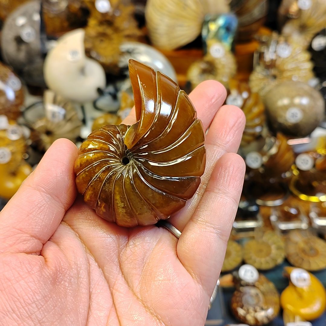 酒红色全玉化鹦鹉手把件