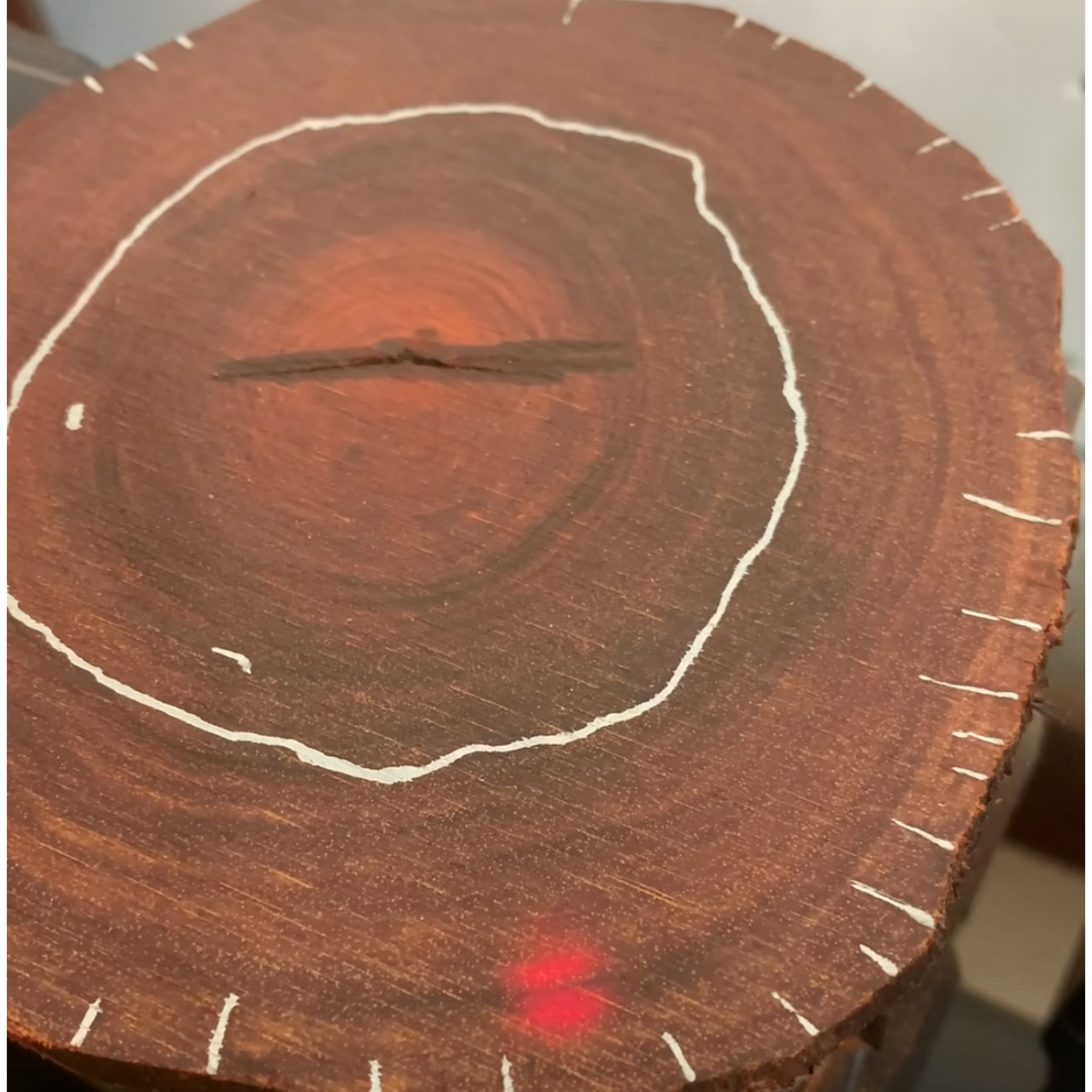 10-100（红木杂项通用专拍链接以直播间截图为准）