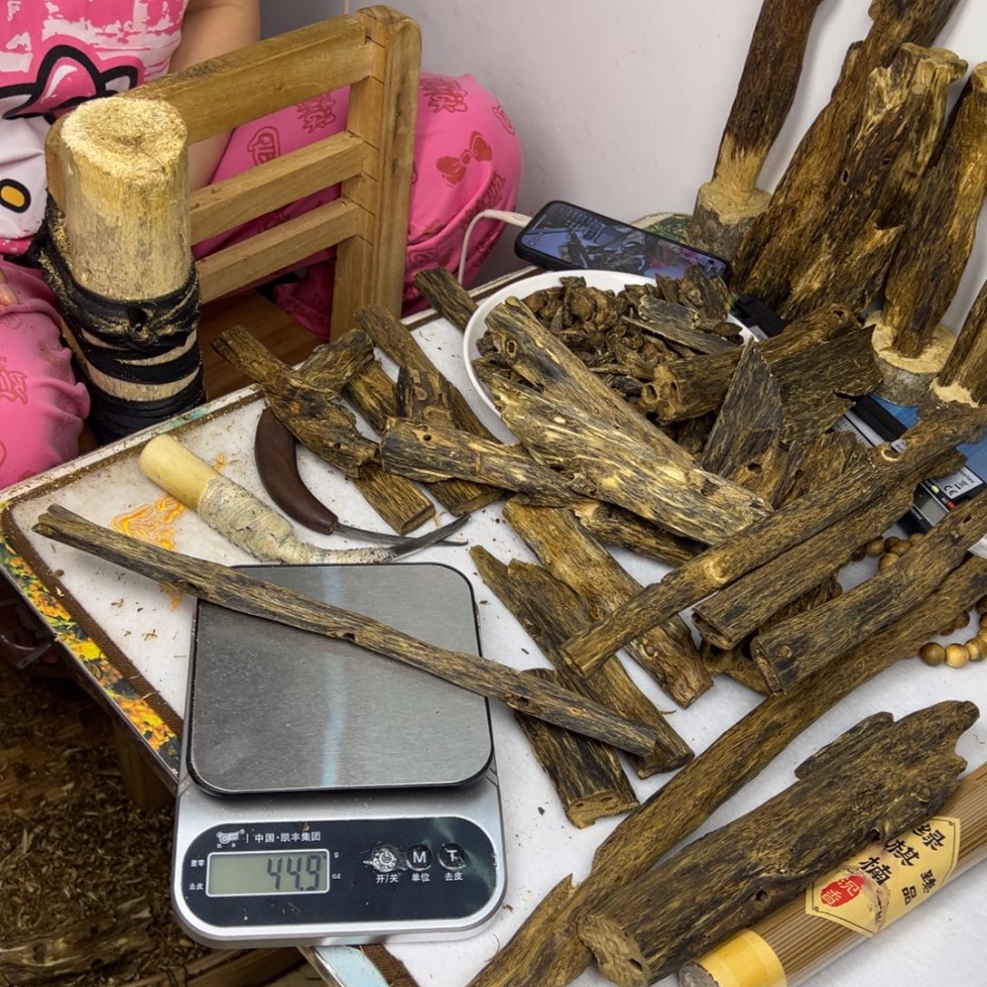 线香奇楠虫漏香44克