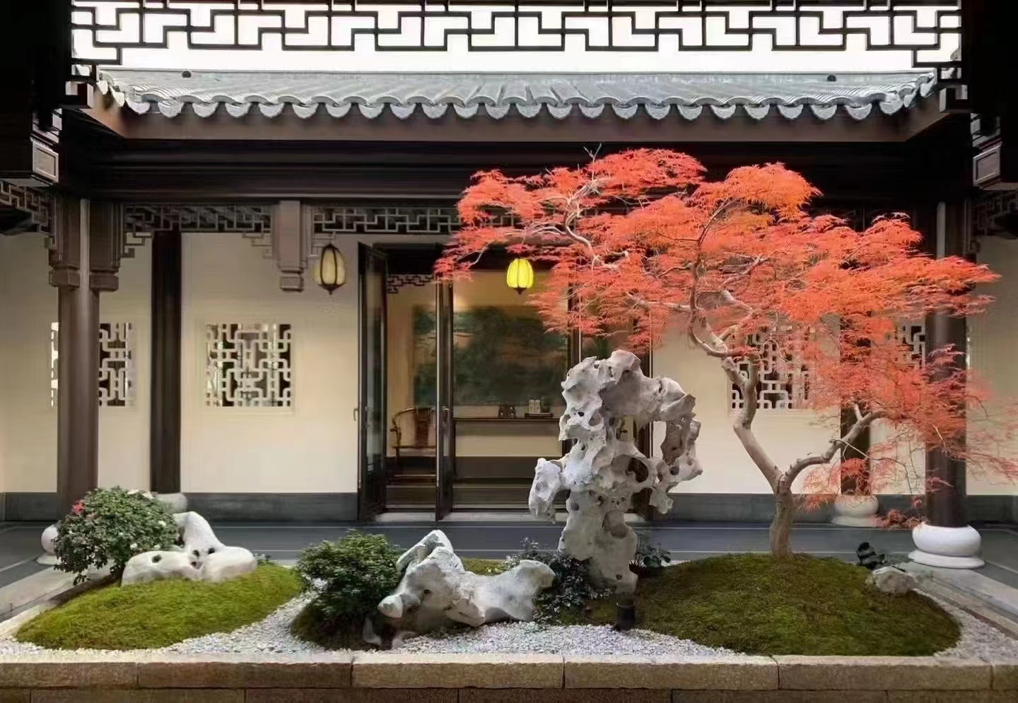 羽毛枫红枫外山金丝黄羽枫适合别墅庭院私家花园种植