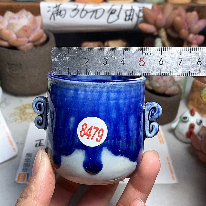 红陶拍5送一个小