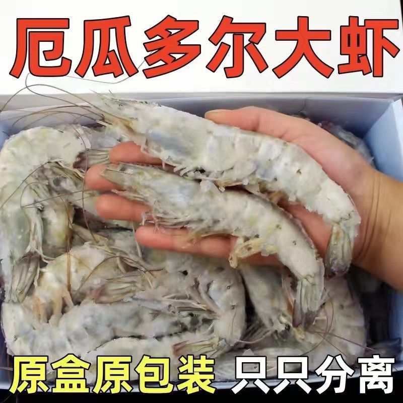 林蓝螺厄瓜多尔海洋大虾30规格1.5KG（包冰≤%10)(40到50只/盒）