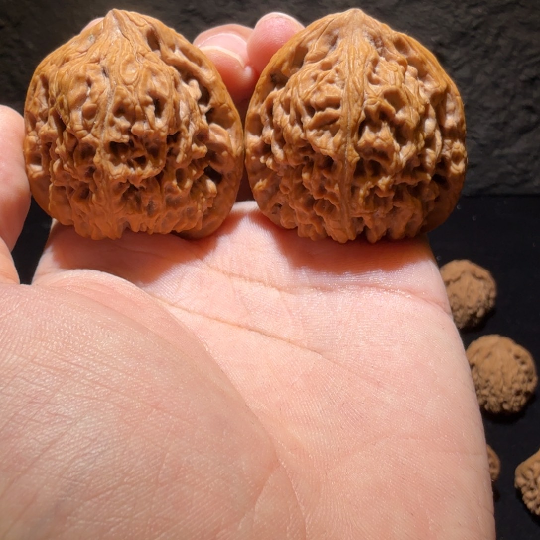 吊坠文玩核桃边42克重46鹰嘴南疆石