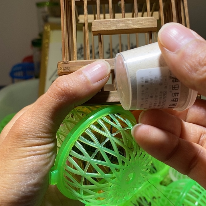 炭化笼加蝈蝈送饲料