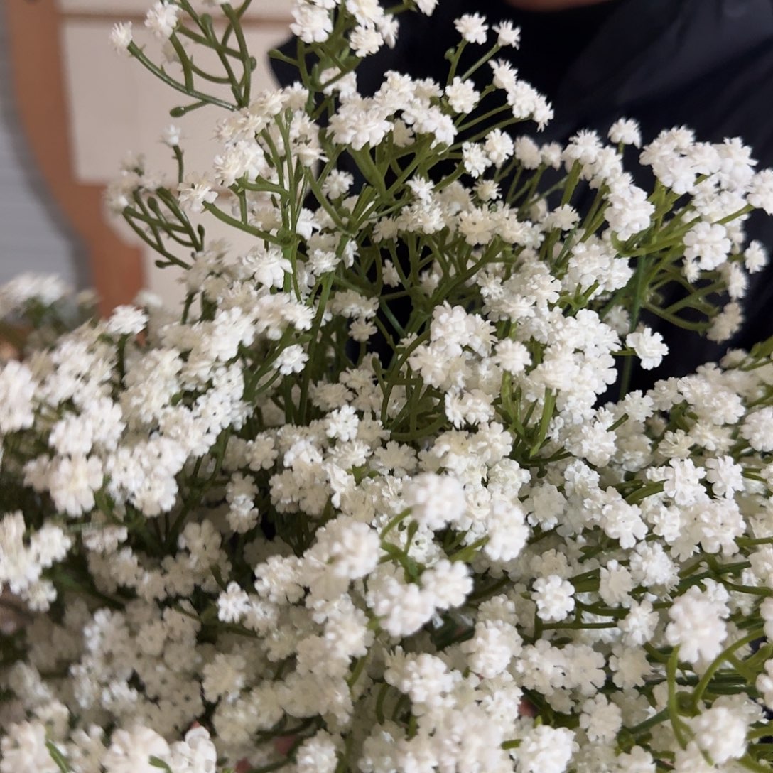 877号白色满天星10支