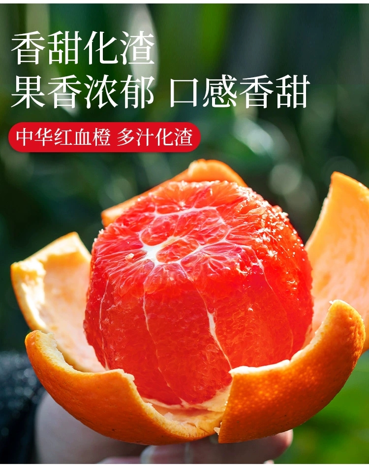 红肉脐橙，新鲜采摘，果园直发