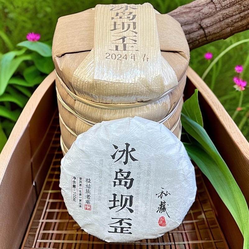 2024年冰岛坝歪头春古树100克/6饼