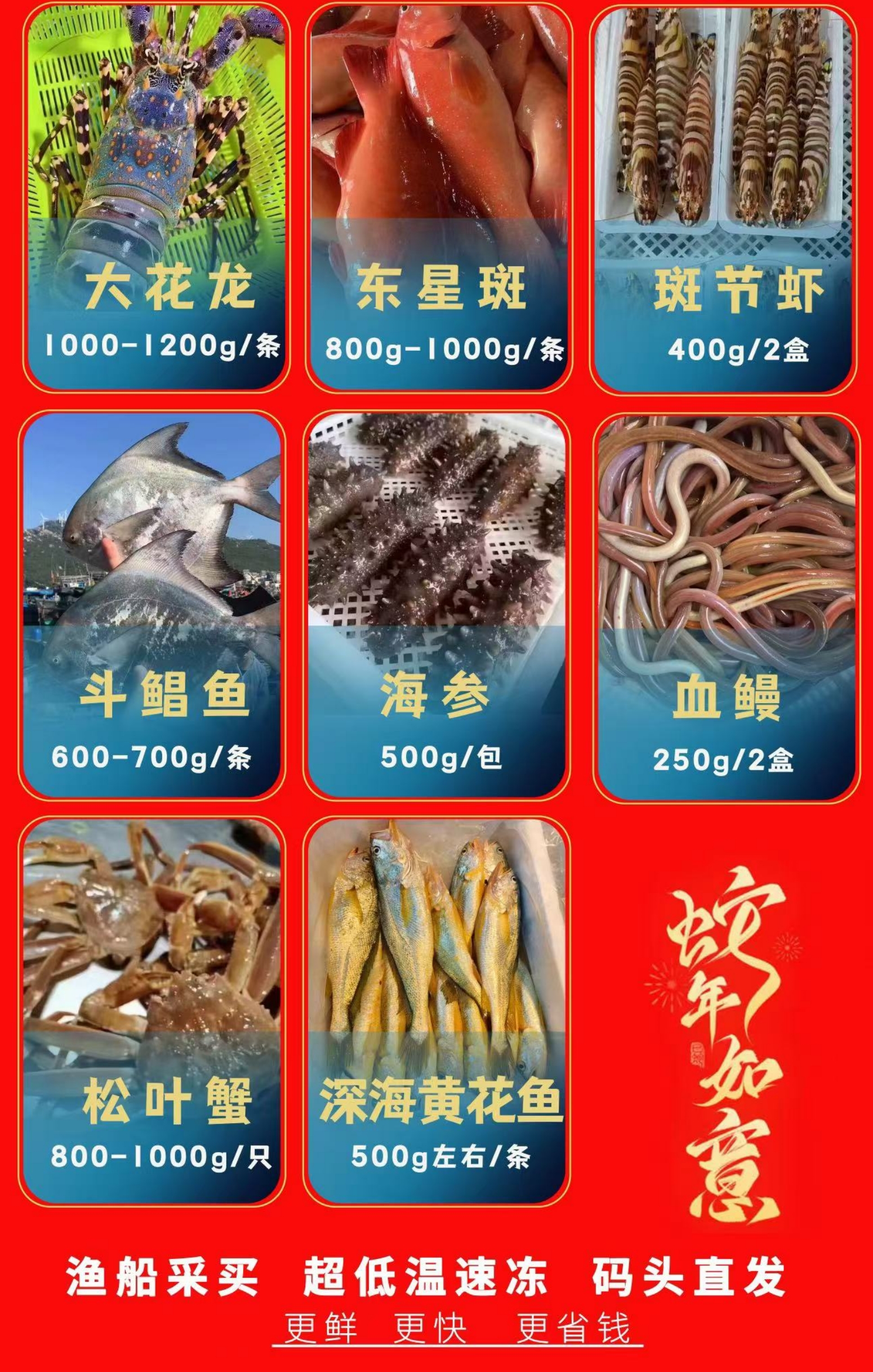 【春节佳礼】东山岛海鲜礼盒套餐 大花龙套餐 顺丰冷链送货上门
