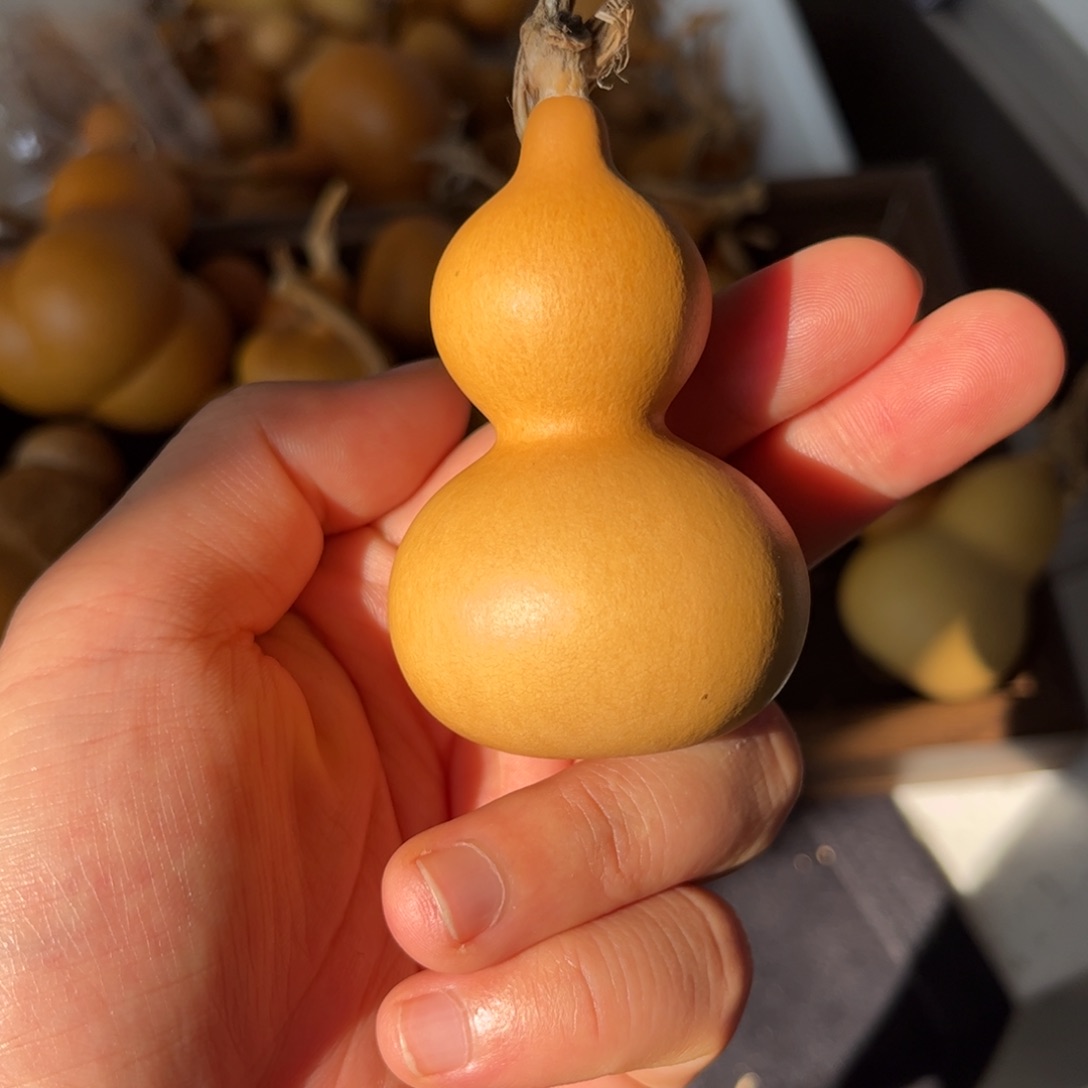 老皮精品小美四六肚