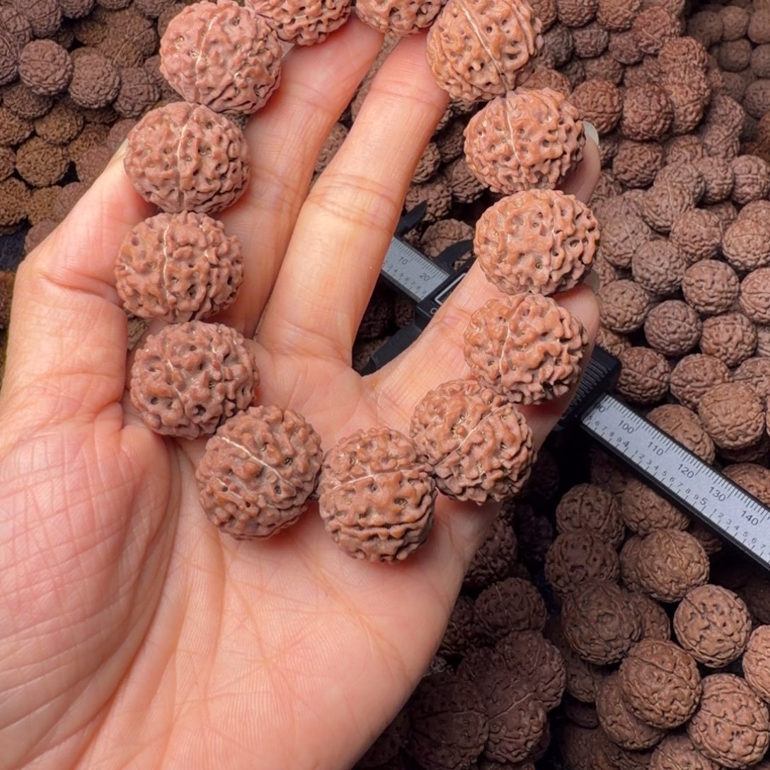 金刚菩提手串8瓣卡21尺，21号