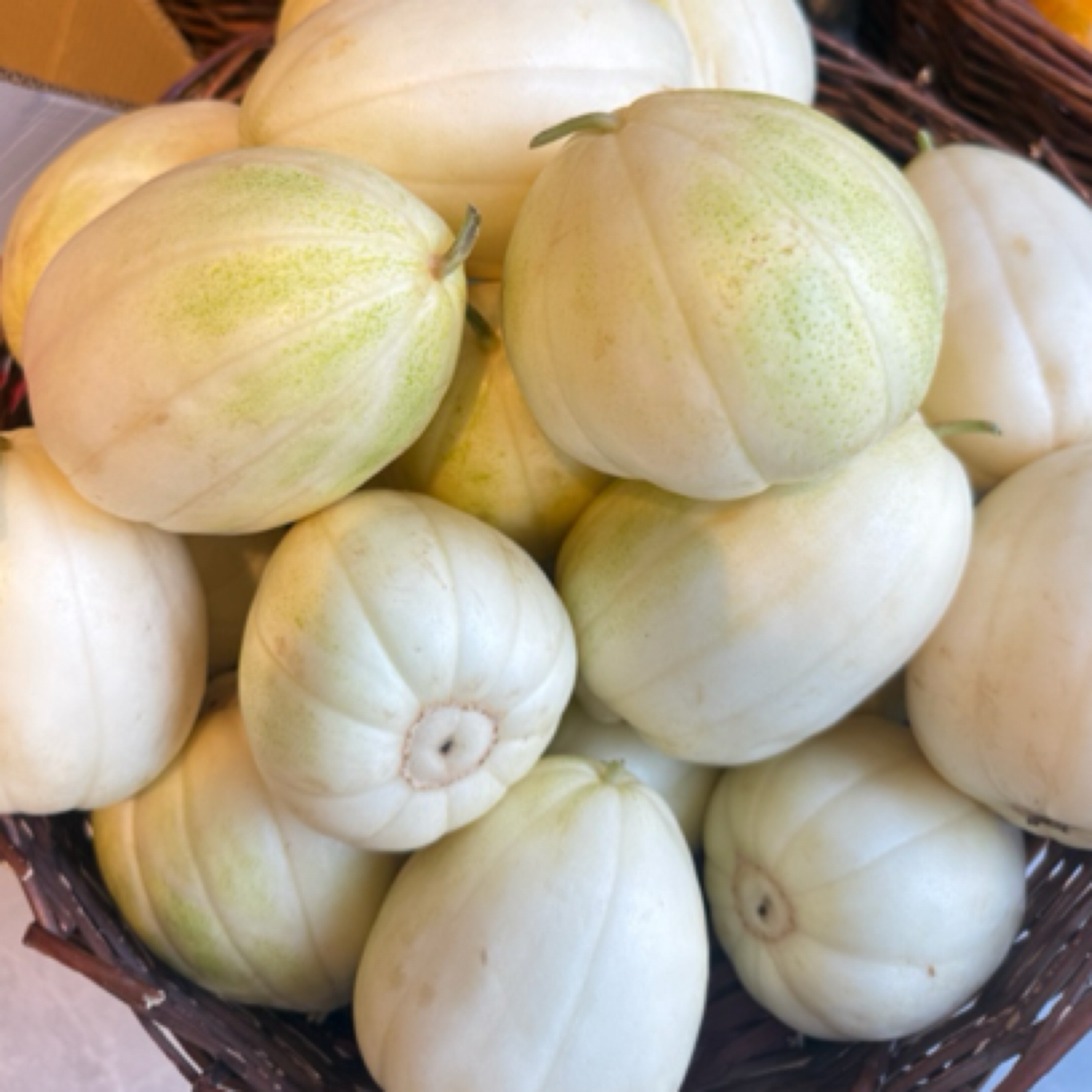 【果果优品】大板香瓜 约 5 斤 同城送货上门