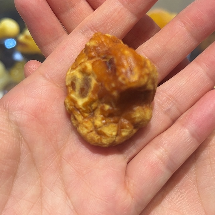 琥珀未镶嵌颈饰海飘