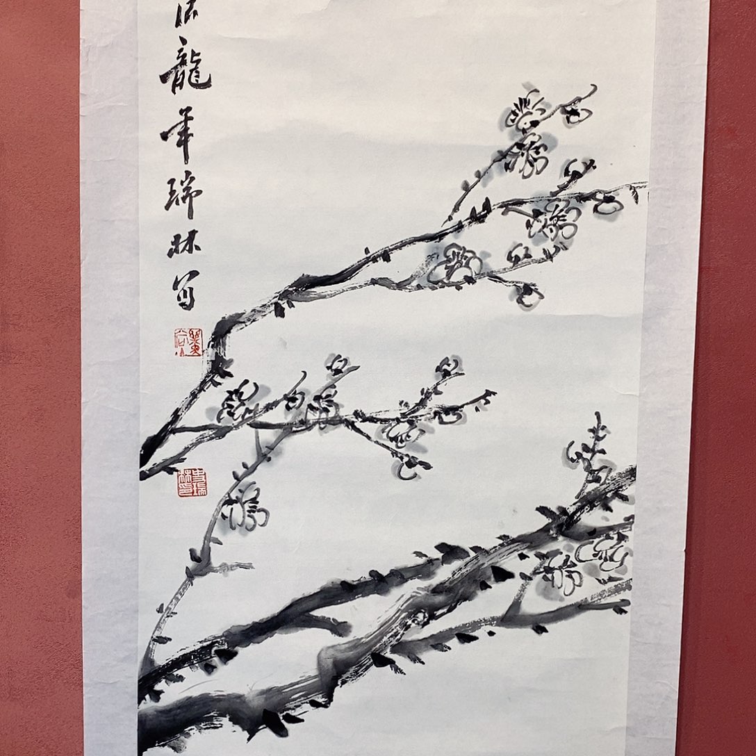 书法史瑞林老师作品