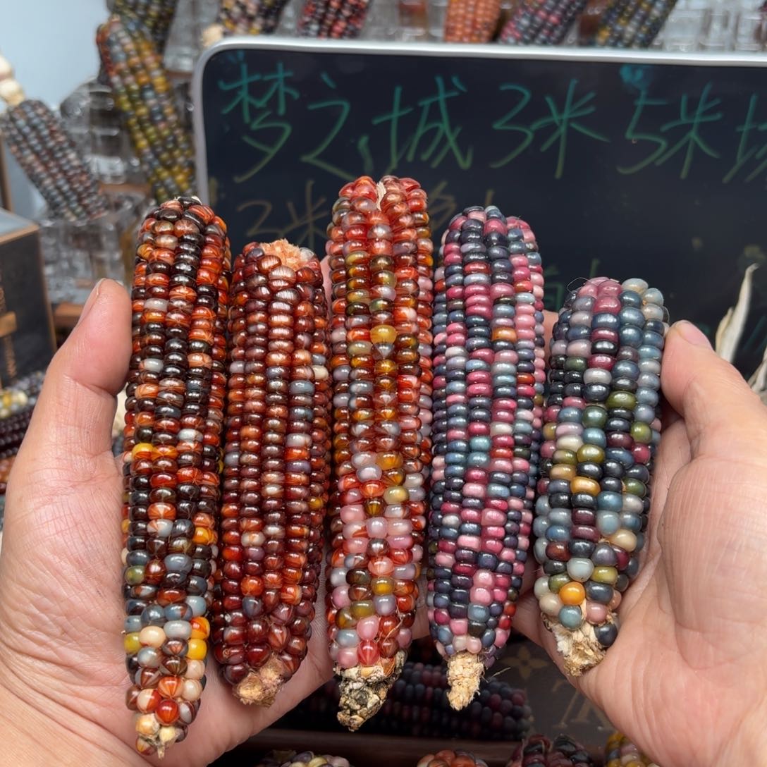 柏香籽/百香籽吊坠阿*ޓ