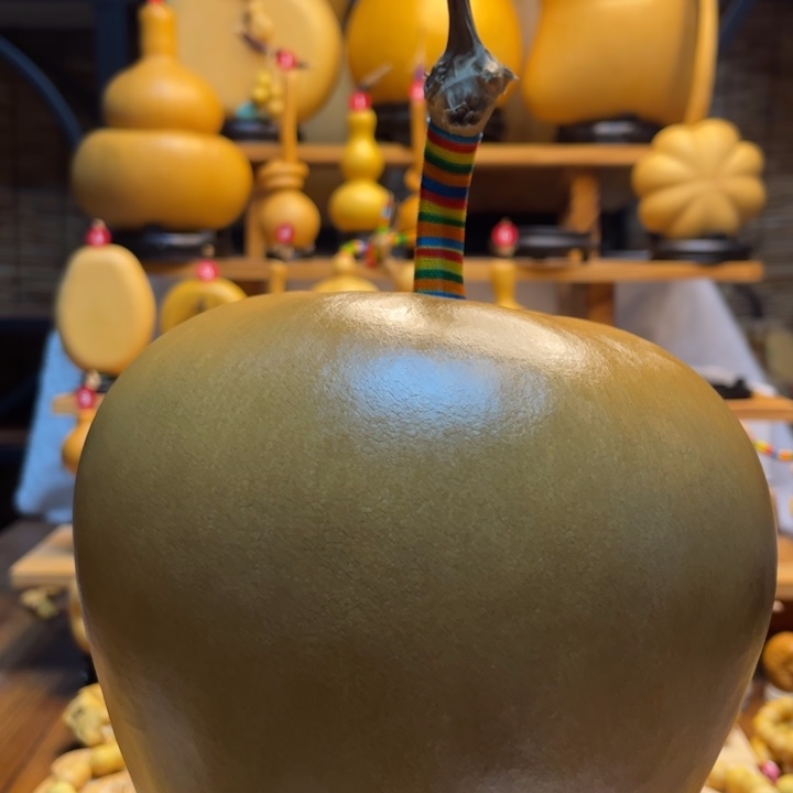 彭***子天然葫芦自然生长