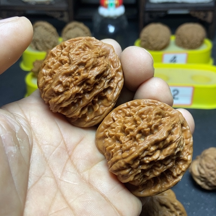 核桃用****1山地四座楼888