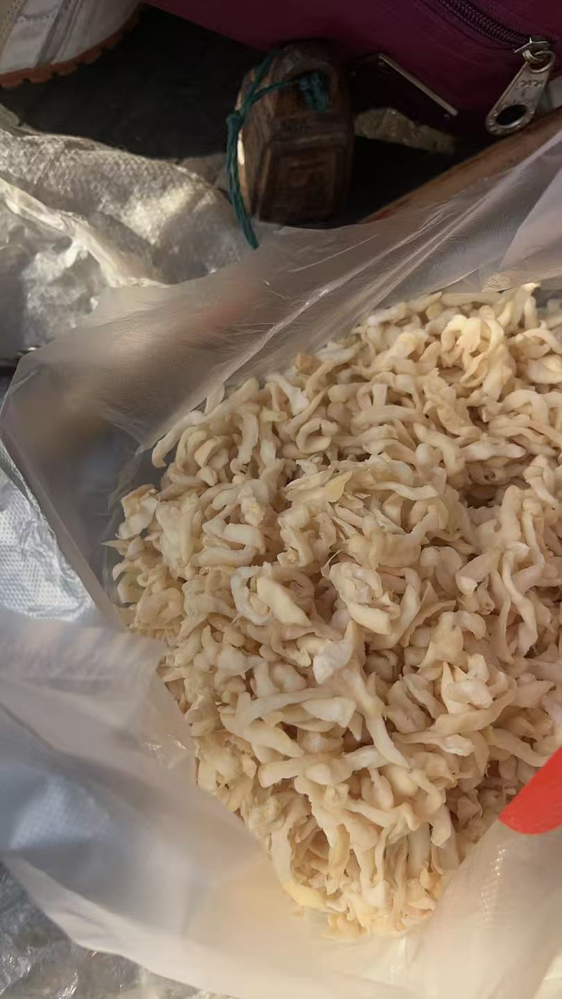 湖北自种萝卜干子