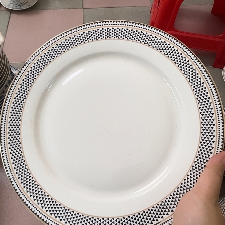 花***～新骨瓷两个平盘10.5寸，