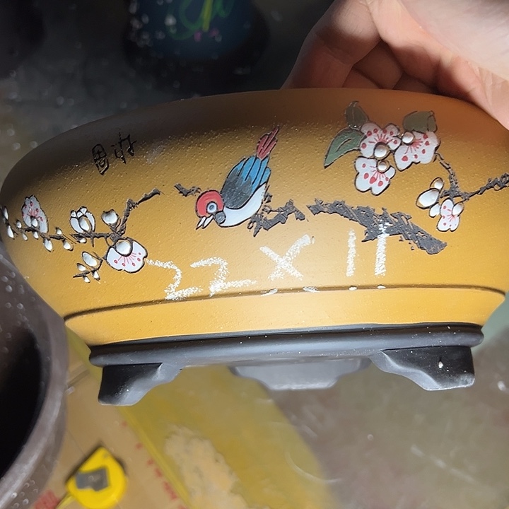 周三周四自始至终自作自受 