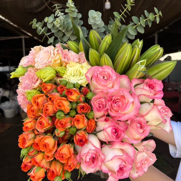 艾莎玫瑰10枝+香水百合5花苞+多头玫瑰3枝+洋结梗1扎+配草5枝