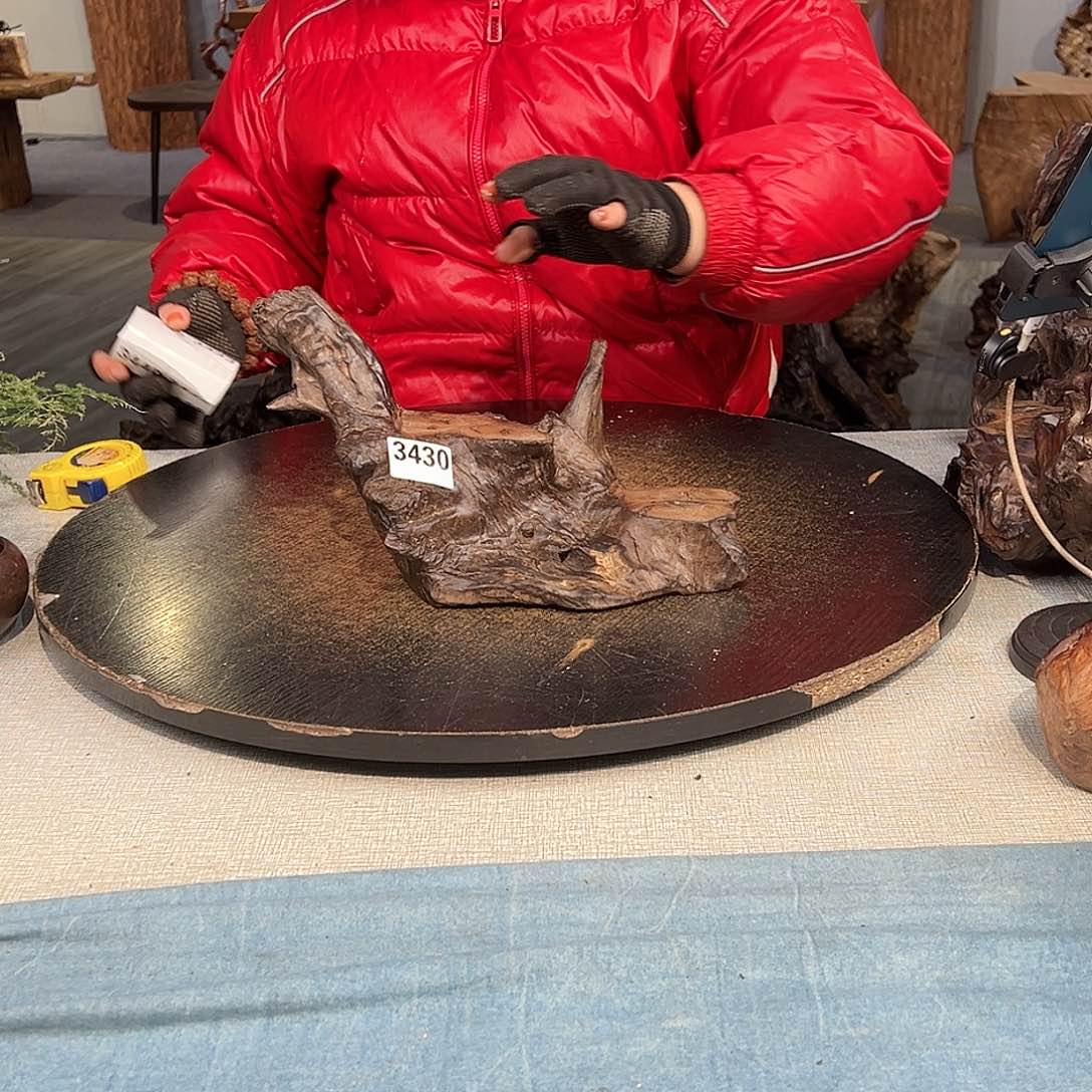 木大***然3430 hvghggbgghhhvhbh